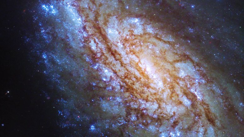 Estes braços estrelados pertencem à galáxia espiral intermédia NGC 4654, que fica na direção da Constelação de Virgem. A galáxia tem um centro brilhante e é rotulada como “intermediária” porque possui características tanto de espirais não barradas quanto de espirais barradas. NGC 4654 fica ligeiramente ao Norte do Equador Celeste, o que a torna visível no Hemisfério Norte e também na maior parte do Hemisfério Sul. Localizada a cerca de 55 milhões de anos-luz da Terra, NGC 4654 é uma das muitas galáxias do Aglomerado de Virgem, que tem uma distribuição assimétrica de estrelas e de gás hidrogênio neutro