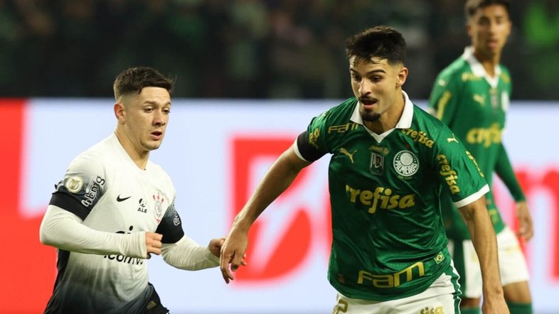 Cesar Greco/Palmeiras