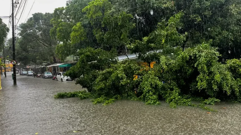 Divulgação/PRF