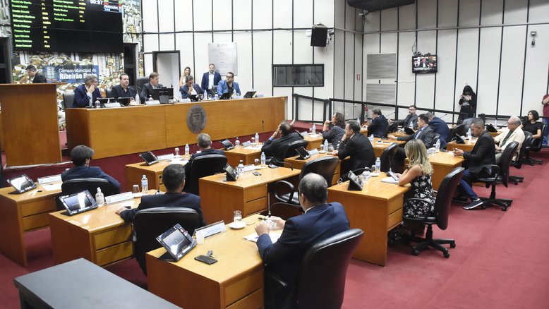 Thaisa Coroado/Câmara Municipal de Ribeirão Preto