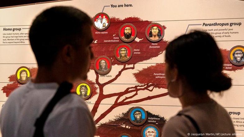 Trump quer banir "ideologia antiamericana" de museus