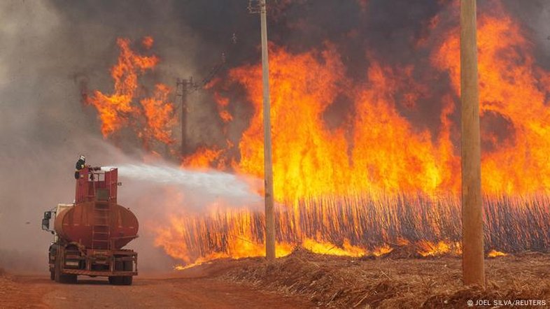 Como o Brasil se prepara para enfrentar incêndios florestais em 2025