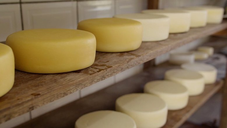 Cena de 'Canastra, o Queijo de Ouro'