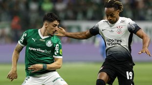 Cesar Greco/Palmeiras