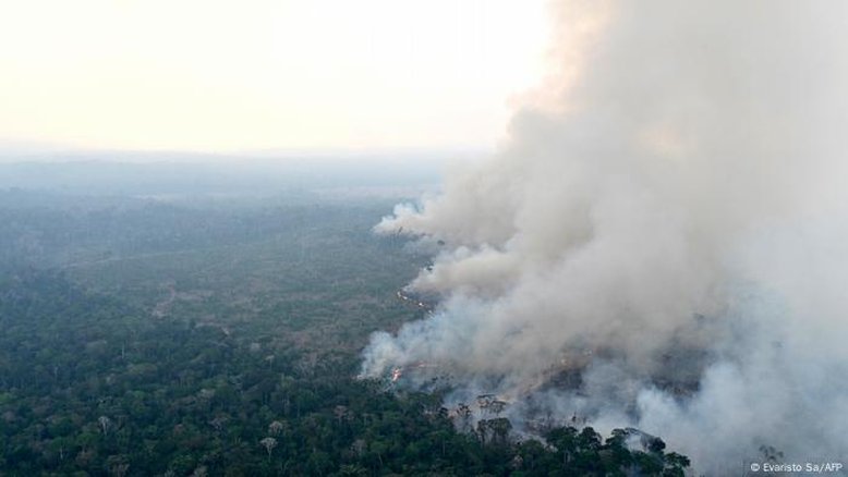 STF ordena União a desapropriar terras devastadas por incêndios criminosos