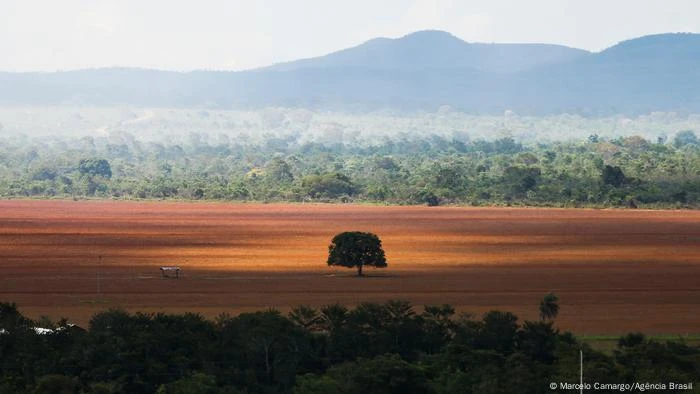 [Coluna] Trump estimula a destruição da Amazônia e do Cerrado, mas a responsabilidade é do Brasil