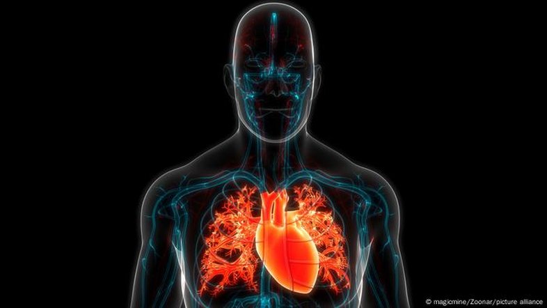 Novo estudo relaciona plásticos com doenças cardíacas