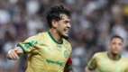 Cesar Greco/Palmeiras