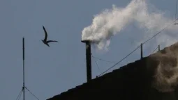 Por que igrejas ao redor do mundo tocaram sinos após a fumaça branca?