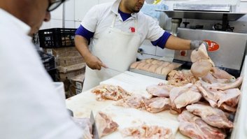 Gripe aviária: 17 países suspendem restrição à carne brasileira 