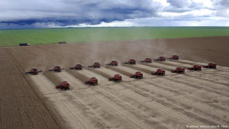 'PL da devastação': como o Senado afrouxou regras de proteção ambiental