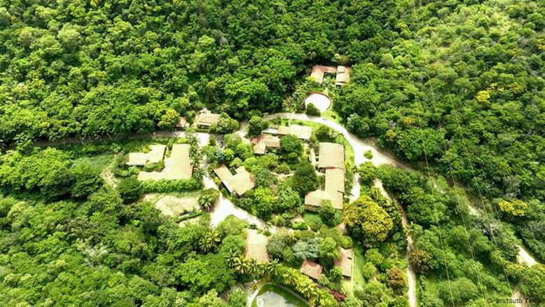 Instituto criado por Sebastião Salgado e esposa planta milhões de árvores
