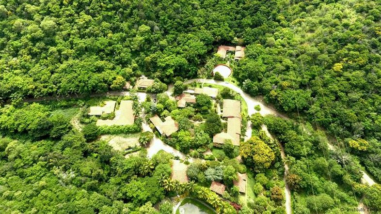 Instituto criado por Sebastião Salgado e esposa planta milhões de árvores