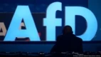 Inteligência alemã classifica AfD como grupo extremista de direita