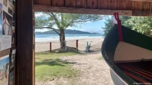 Pesca da tainha opõe conservação do oceano e tradição