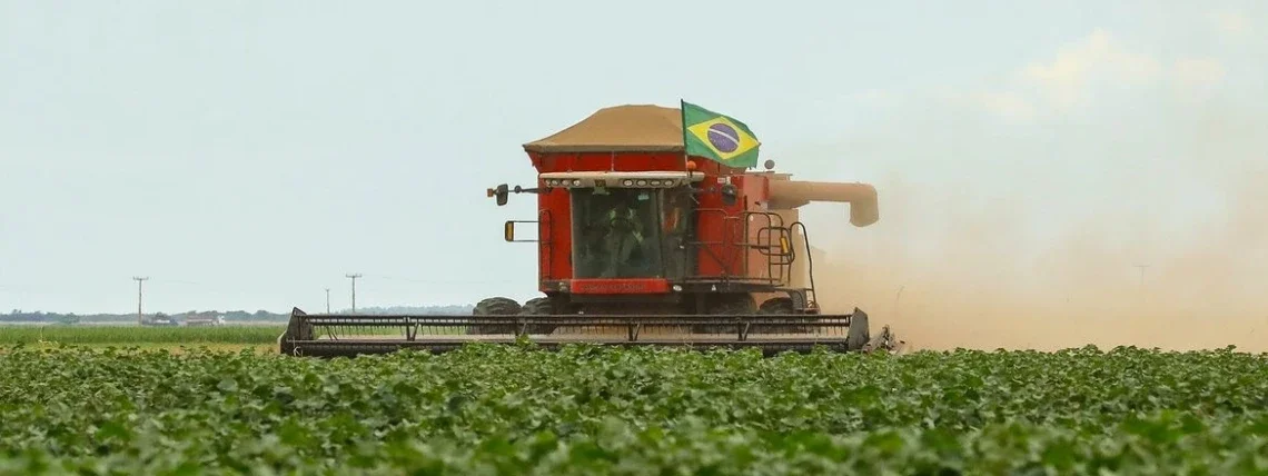 Projeto para flexibilizar licenciamento ambiental avança no Senado e divide governo