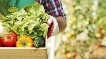 Close up of box with ripe vegetables