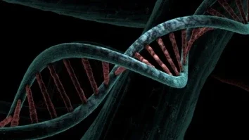 dna