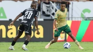 Cesar Greco/Palmeiras