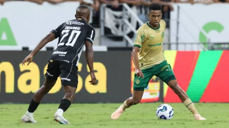 Cesar Greco/Palmeiras