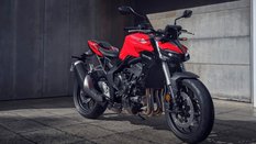 hornet1000