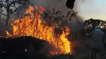 Arquivo/Valter Campanato/Agência Brasil