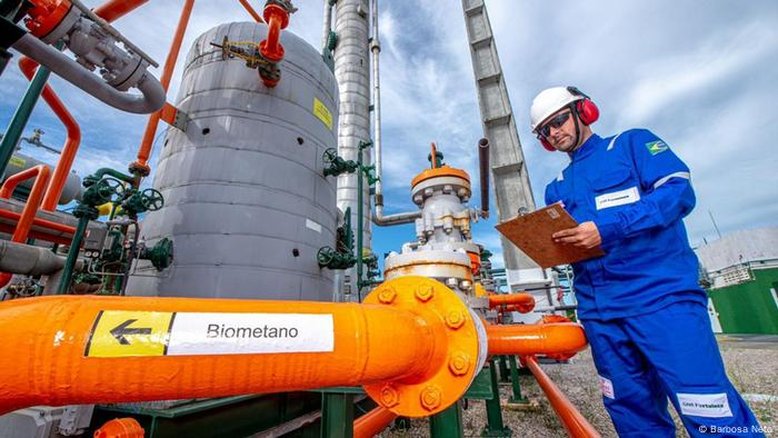 [Coluna] Energia dos campos, o superpoder brasileiro subestimado