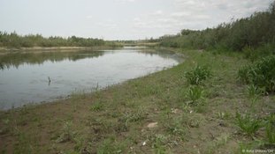 Na Ucrânia, natureza retorna a área de barragem destruída