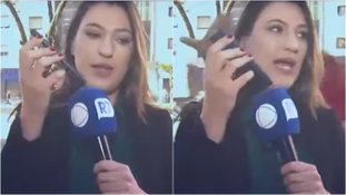 Reprodução/Record TV.