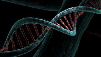 dna