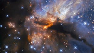 ESA/Hubble & NASA, R. Fedriani, J. Tan