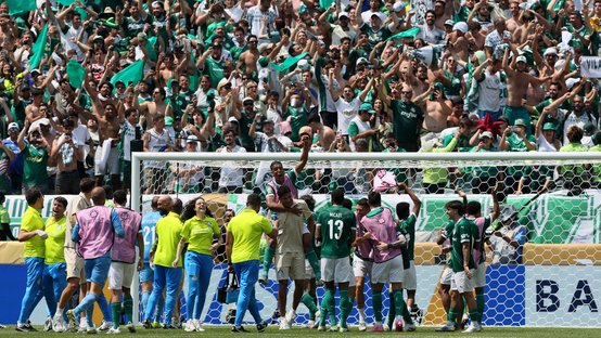 FIFA Club World Cup - Round of 16 - Palmeiras v Botafogo