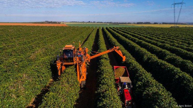 Agro brasileiro aciona diplomacia para conter impacto de tarifas de Trump