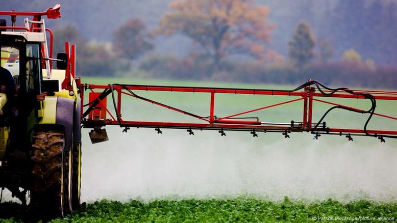 Casos de câncer preocupam comunidades rurais na Bacia do Uruguai