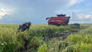 Em crise, Cuba abre exploração de terras para empresa estrangeira
