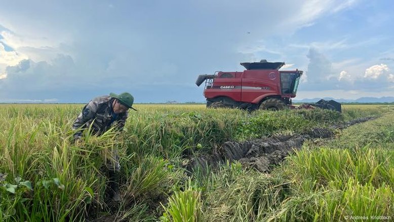 Em crise, Cuba abre exploração de terras para empresa estrangeira