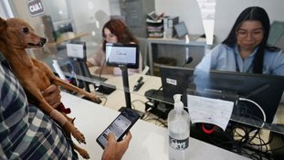 El Salvador lucrou US$ 443 milhões com alta do bitcoin desde 2021