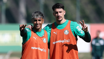 Reprodução/X/@Palmeiras