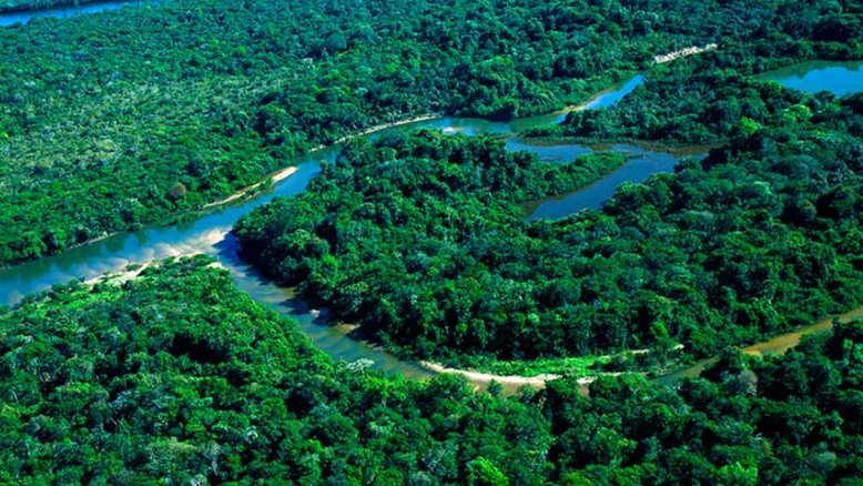 Floresta