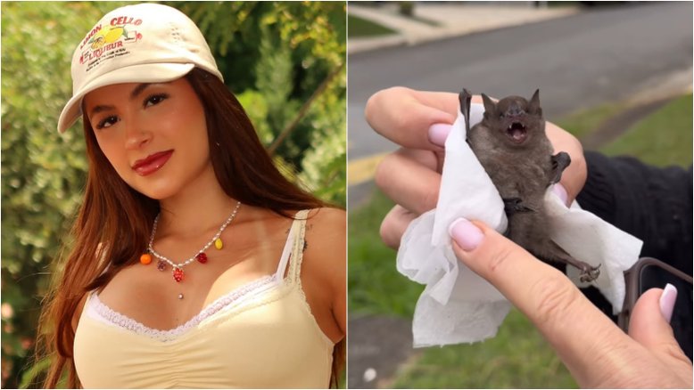 Reprodução/Instagram.