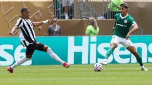 Cesar Greco/Palmeiras