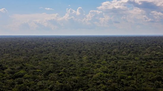 amazonia-1