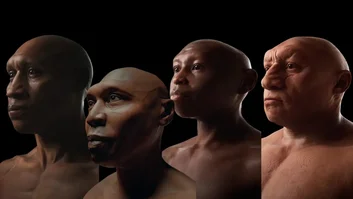 recontrucao-3d