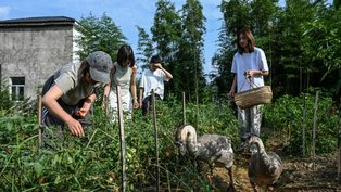 Nem homens, nem estresse: comunidades 100% femininas florescem na China