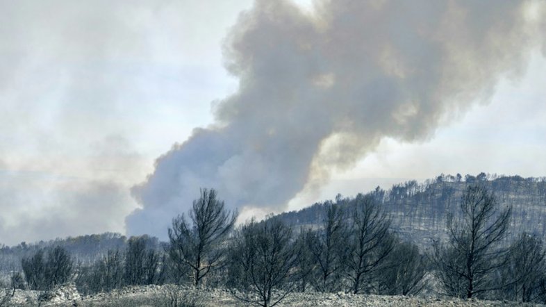 Um morto e 13 feridos em grande incêndio florestal na França
