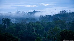 Akakor: A lenda da cidade perdida na Amazônia