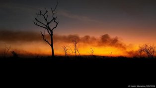 O que explica a queda de incêndios florestais no Brasil