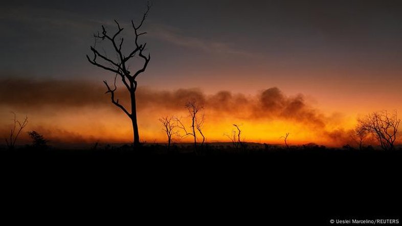 O que explica a queda de incêndios florestais no Brasil