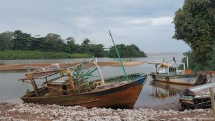 A lenta recuperação da foz do Rio Doce, 10 anos após Mariana