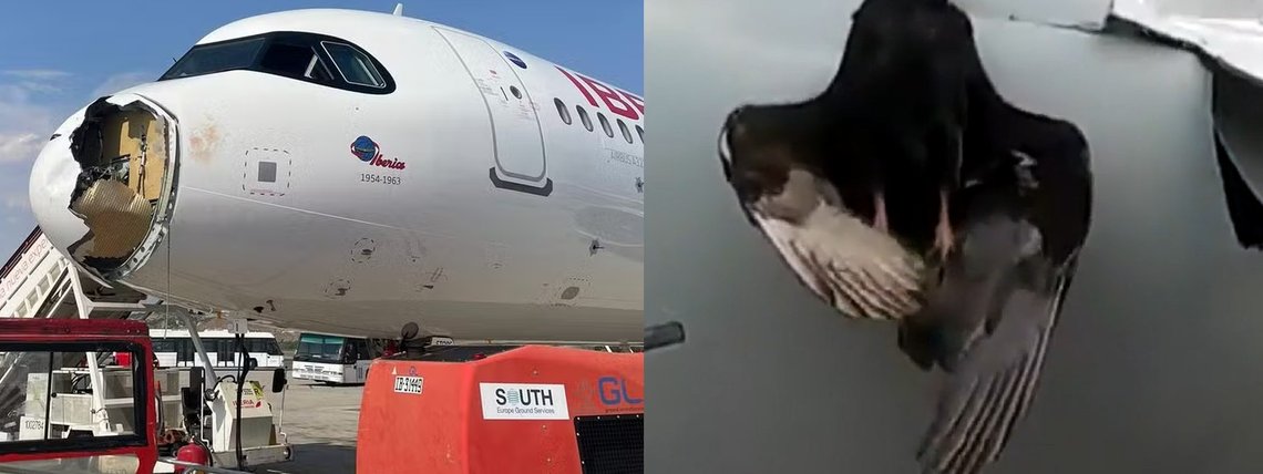 Impacto com ave de grande porte causou danos em bico de avião - Foto: reprodução/redes sociais